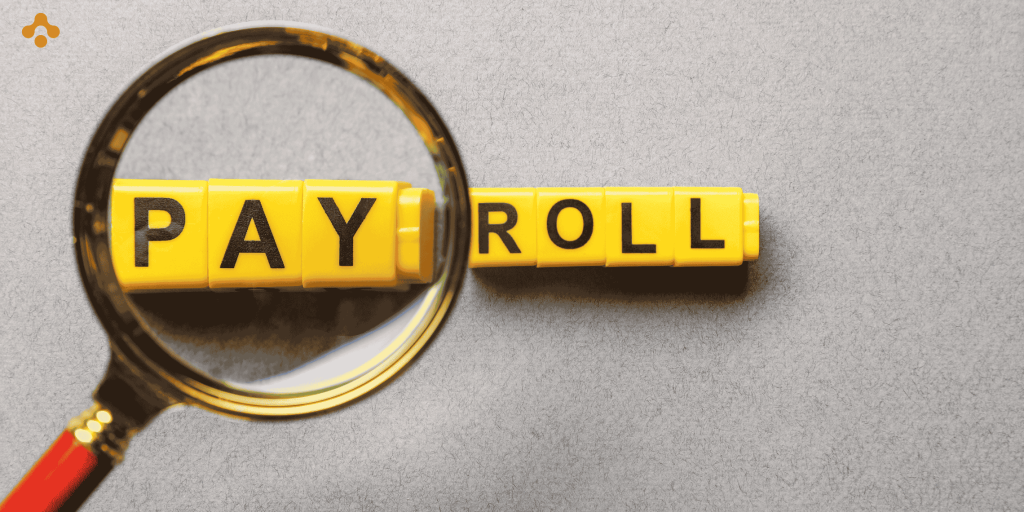 HRMS vs payroll software Which one does your business need